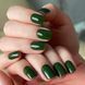 Гель-лак DARK Gel Polish 166 (травяной), 6 мл DGP16606 фото 2