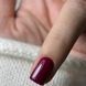 Гель-лак DARK Gel Polish 011 (рубіново-темний), 6 мл DGP1106 фото 2