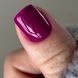 Гель-лак DARK Gel Polish 012 (вишнево-бордовий), 6 мл DGP1206 фото 2