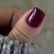 Гель-лак DARK Gel Polish 079 (бордовий), 10 мл DGP7910 фото 2