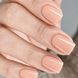 Гель-лак DNKa Gel Polish Color #0008 (коричневий), 12 мл FTGPDC0008 фото 2