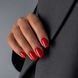 Гель-лак DNKa Gel Polish Color #0080 (классически красный), 12 мл GPDC0080 фото 2