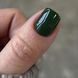 Гель-лак DARK Gel Polish 034 (хвойный), 10 мл DGP3410 фото 2