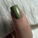 Гель-лак DARK Gel Polish 037 (коричнево-зелений), 10 мл DGP3710 фото 2
