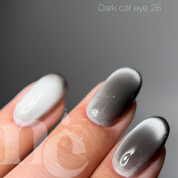 Гель-лак DARK Gel Polish Cat Eye 28 (графитный), 10 мл DCateye2810 фото